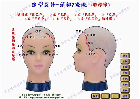 頭部七條基準線|頭型七條基準線雙旋真人示範